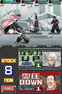 DS Screenshots
