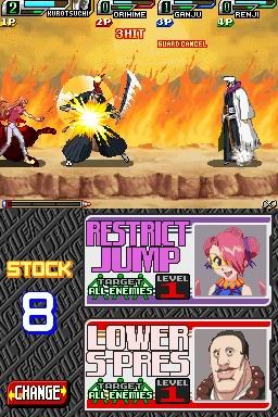 DS Screenshots