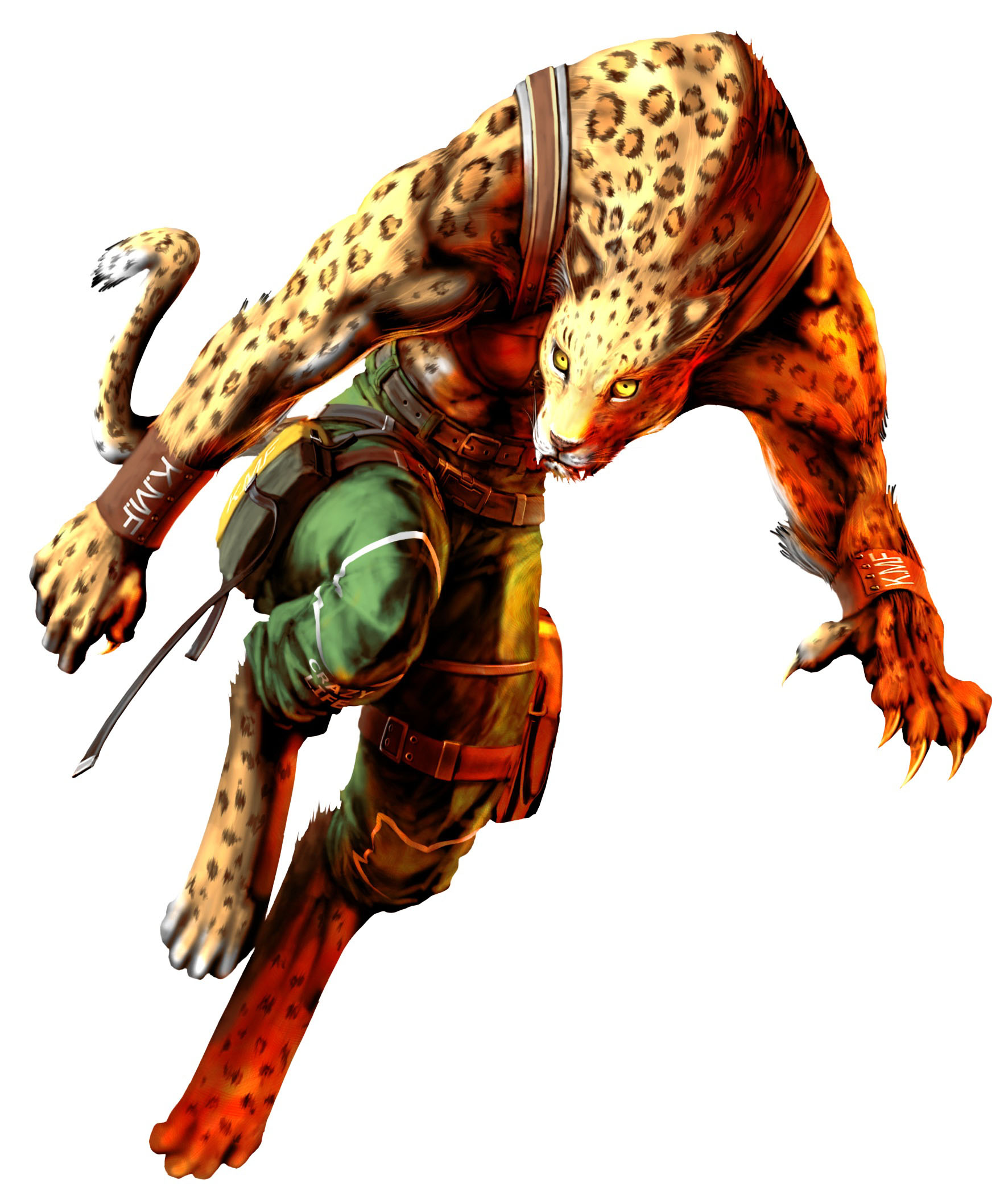 characters  & monster forms