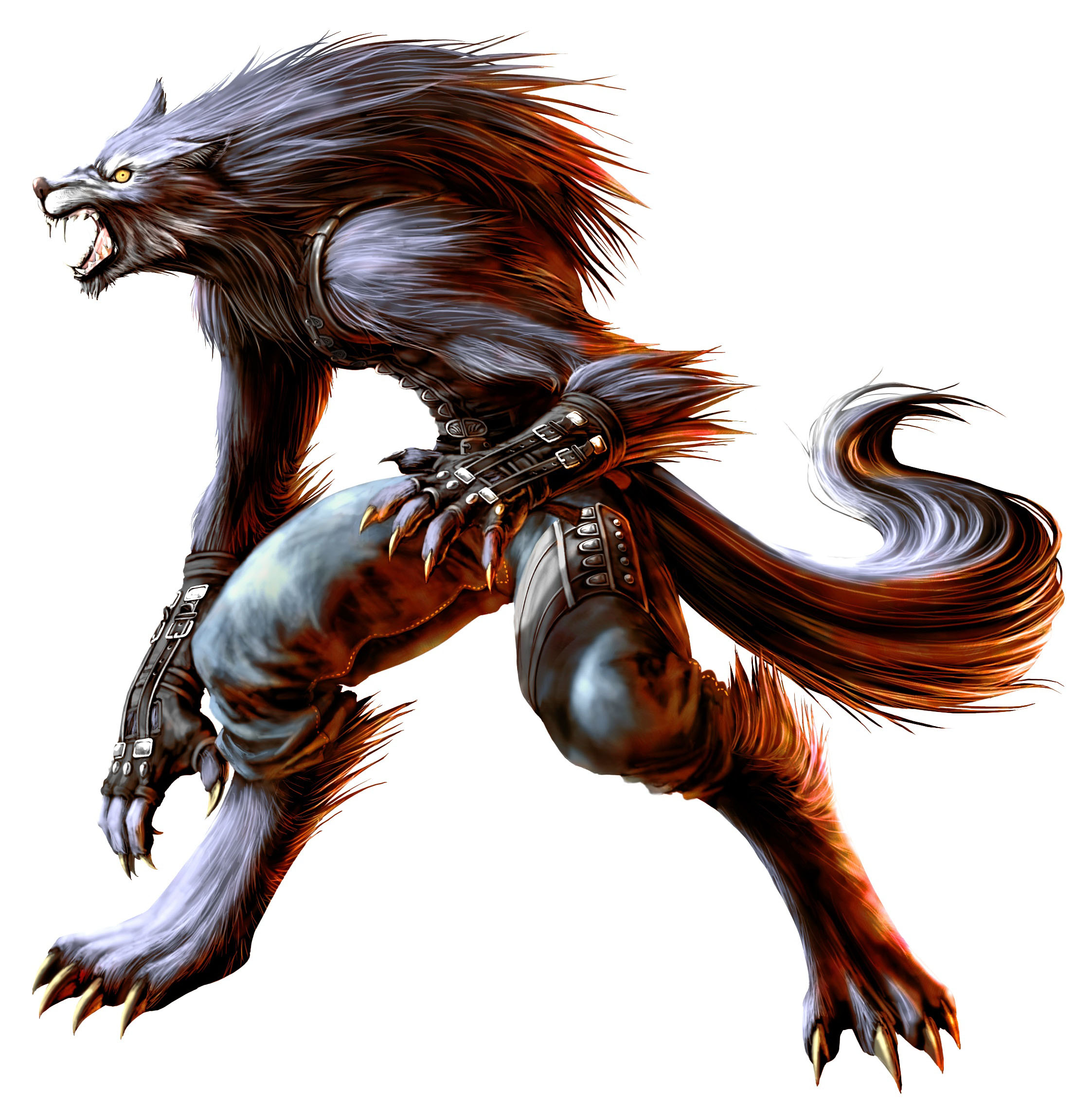 characters  & monster forms