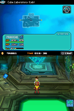 DS Screenshots