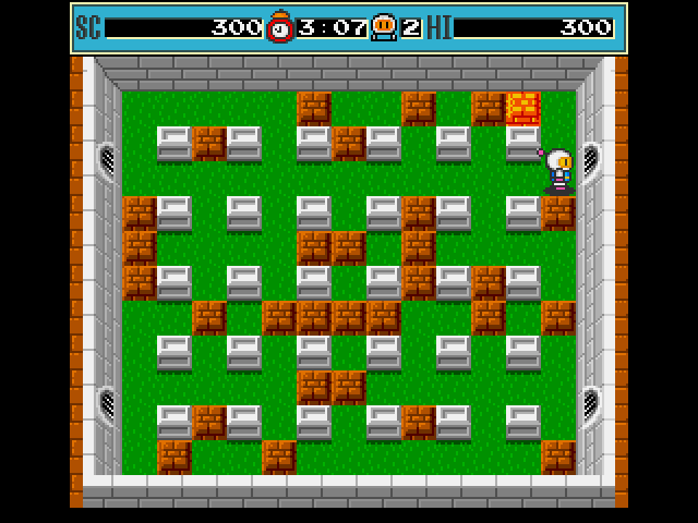 DS Screenshots