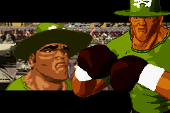 GBA Screenshots