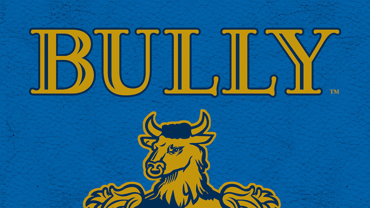 Bully