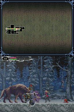 DS Screenshots