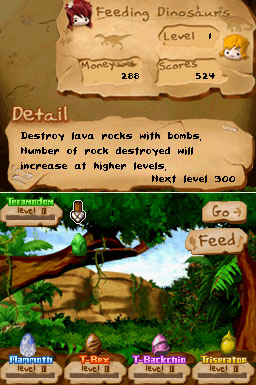 DS Screenshots