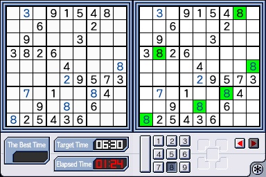 DS Screenshots