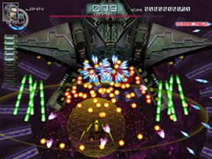 Chaos Field