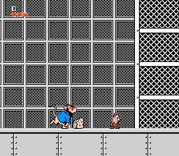 NES Screenshots