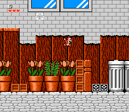 NES Screenshots