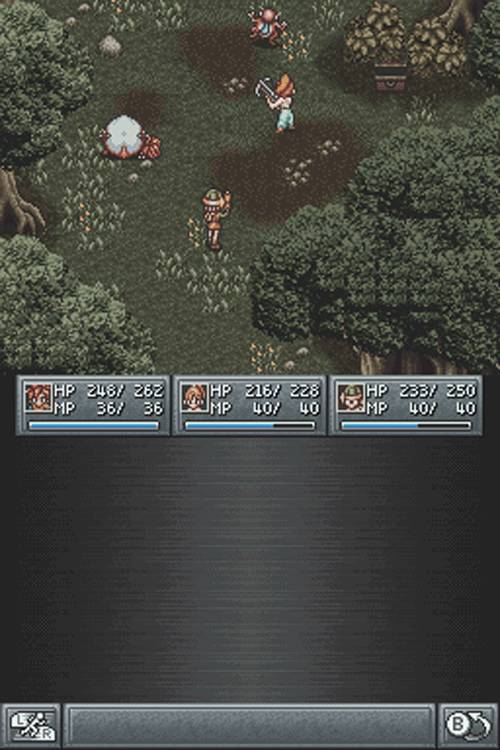 DS Screenshots
