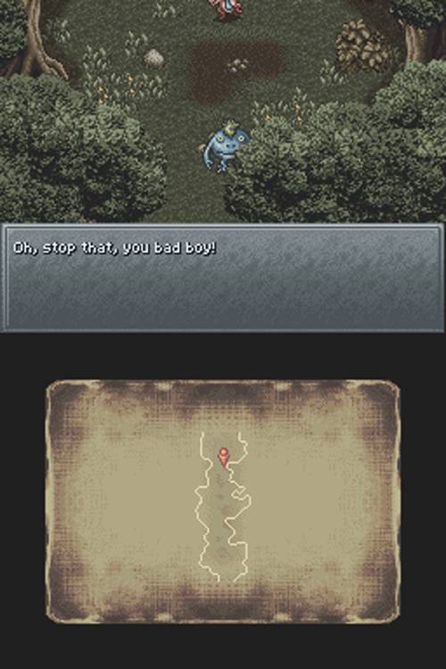 DS Screenshots