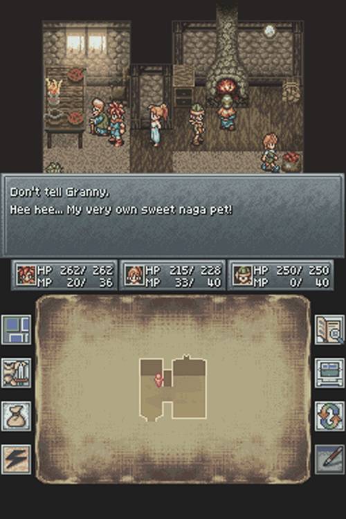 DS Screenshots
