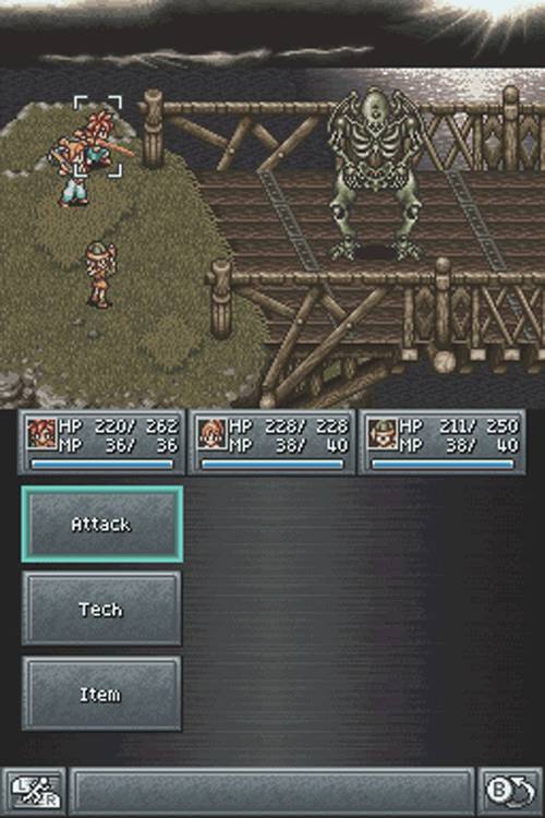 DS Screenshots