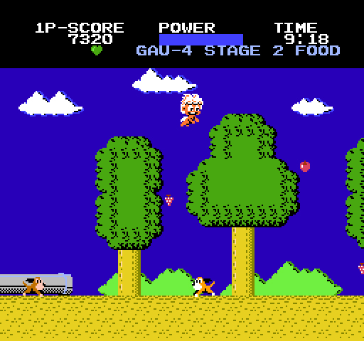 NES Screenshots