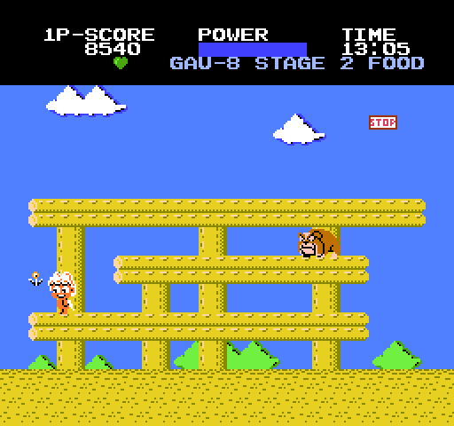NES Screenshots