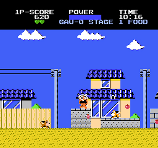 NES Screenshots