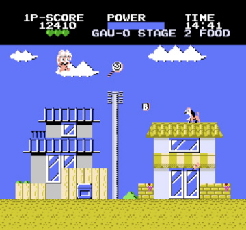 NES Screenshots