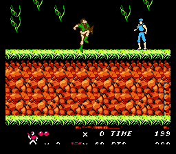 NES Screenshots
