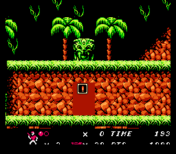 NES Screenshots