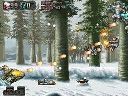 DS Screenshots