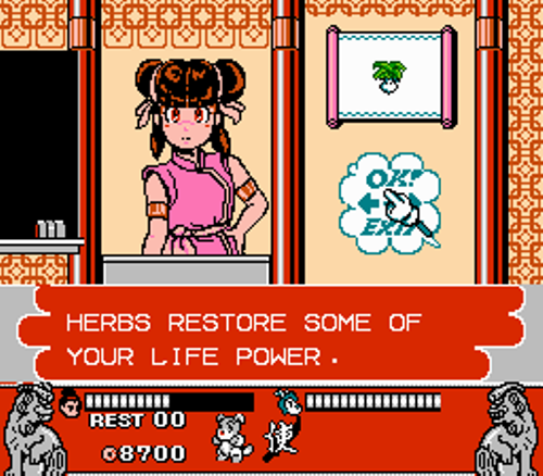 NES Screenshots
