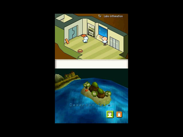 DS Screenshots