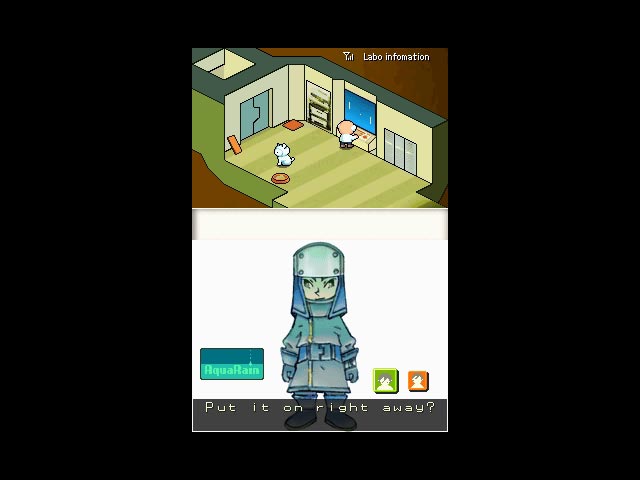 DS Screenshots