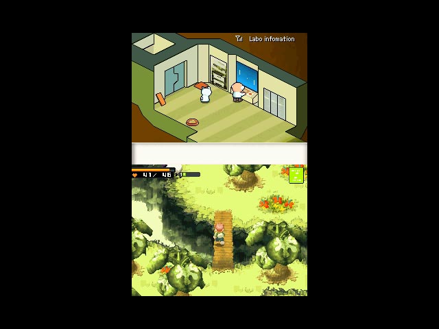 DS Screenshots