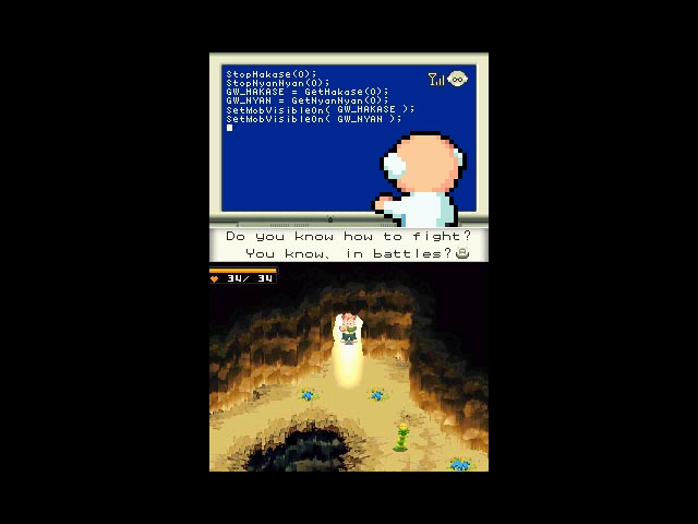 DS Screenshots