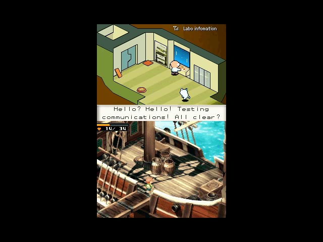 DS Screenshots