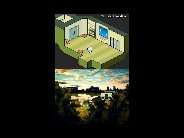 DS Screenshots