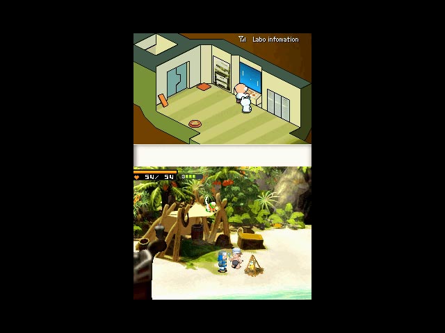 DS Screenshots
