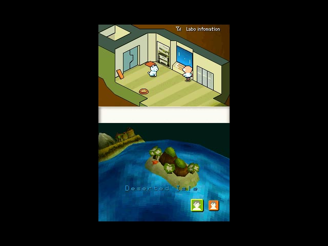 DS Screenshots