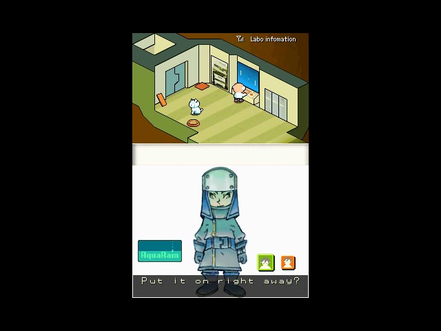 DS Screenshots