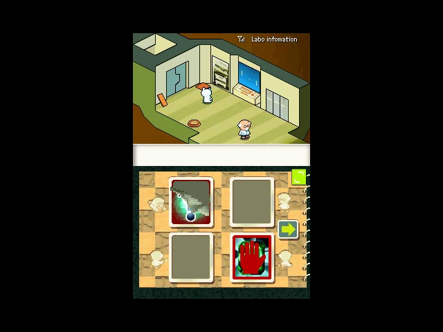 DS Screenshots