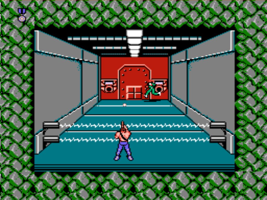 NES Screenshots