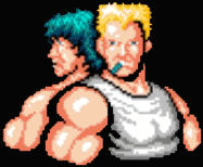 NES Screenshots
