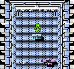 NES Screenshots