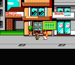 NES Screenshots