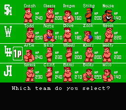 NES Screenshots