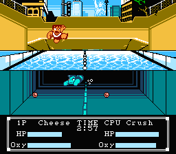 NES Screenshots