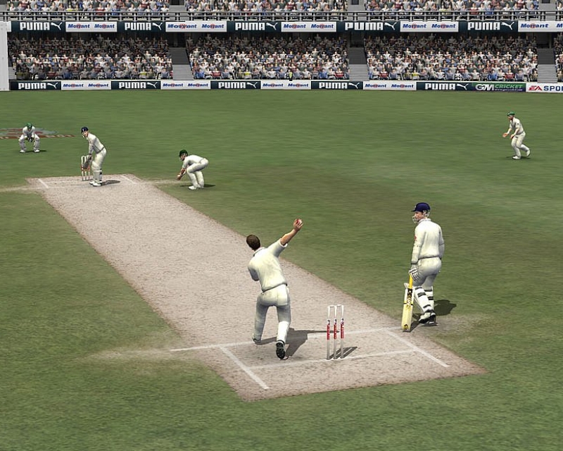 Cricket 07