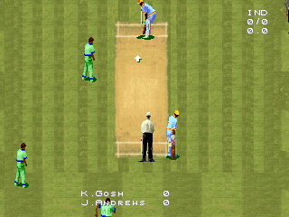 Cricket 96