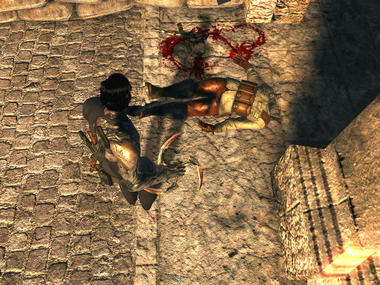 Dark Sector