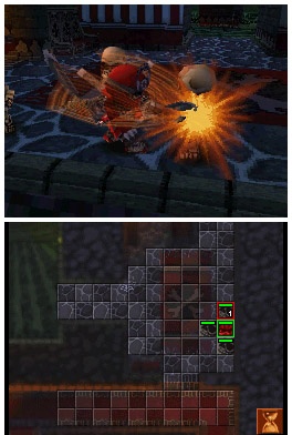 DS Screenshots