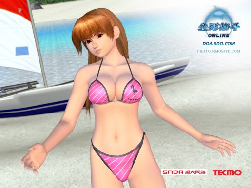 Dead or Alive Online