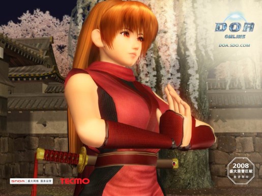 Dead or Alive Online