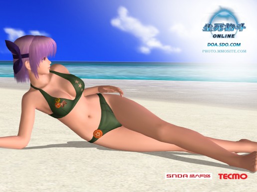 Dead or Alive Online