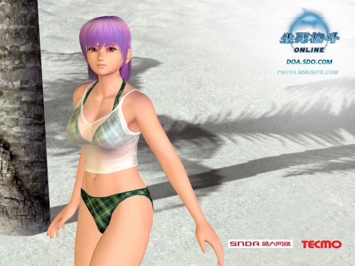 Dead or Alive Online
